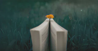 Featured image for article: 📖 LATEST BOOK