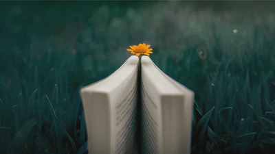 📖 LATEST BOOK featured image