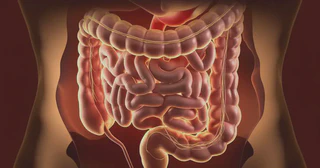 Featured image for article: 🦠 FASTING - A SIMPLE PATH TO WELLNESS