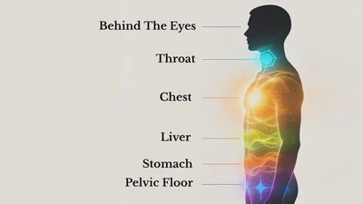 KINESTHETIC CRITERIA SHIFTING: BODY BASED VALUES REORGANIZATION FOR DECISIONS featured image