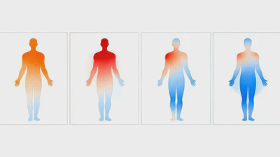 🌡️ THE TEMPERATURE OF TRUTH: DECODING PHYSICAL SENSATIONS IN DECISION-MAKING featured image